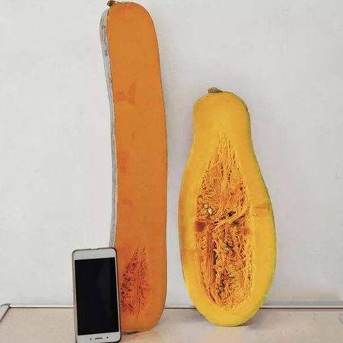 吃生瓜肚子难受,揭秘生食瓜果的潜在风险