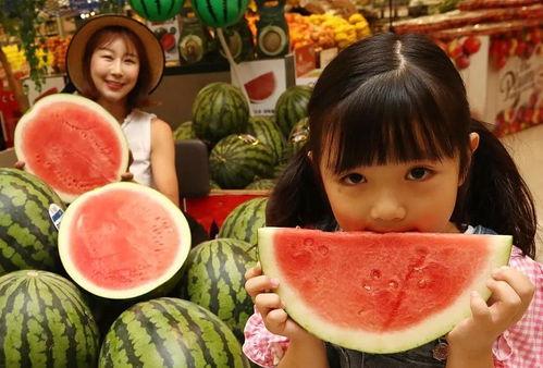 全网在说的吃瓜,揭秘吃瓜背后的那些事儿