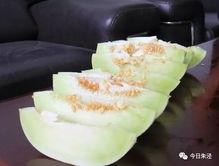 珠子界吃瓜,揭秘吃瓜背后的珠子江湖