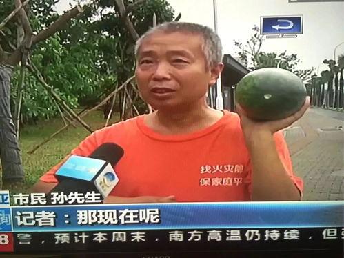 苍山吃瓜群众事件