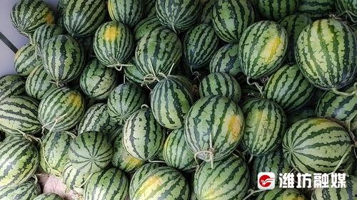 武汉汉中街吃瓜