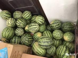 网上吃瓜资源群,揭秘幕后真相与娱乐八卦