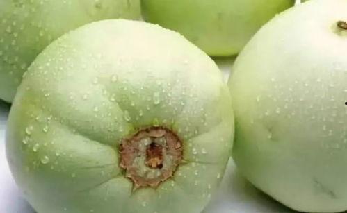 老唐头吃瓜趣事,笑谈人间百态