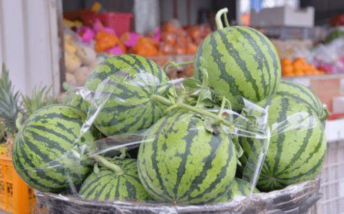 2刀乐吃瓜,揭秘娱乐圈幕后故事