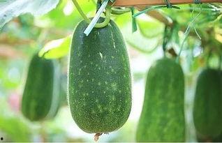 2刀乐吃瓜,揭秘娱乐圈幕后故事