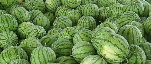 江南小哥吃瓜江苏,揭秘江苏美食背后的故事