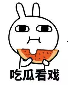 瓜瓜吃瓜改编,揭秘娱乐圈的甜蜜与苦涩