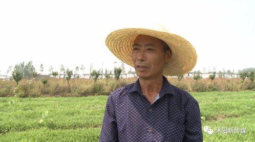 沭阳赵律师吃瓜