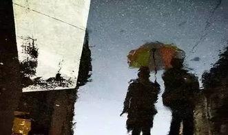 雨中倒影吃瓜,一场吃瓜盛宴的视觉奇遇