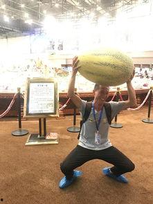 奔跑的吃瓜观众